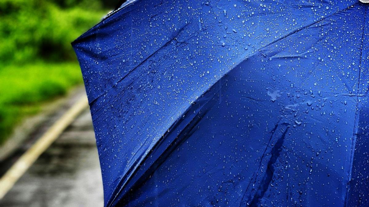 Schimbările meteorologice aduc un început de primăvară neobișnuit în România. Elena Mateescu: Ne apropiem de o abatere termică de aproape 4°