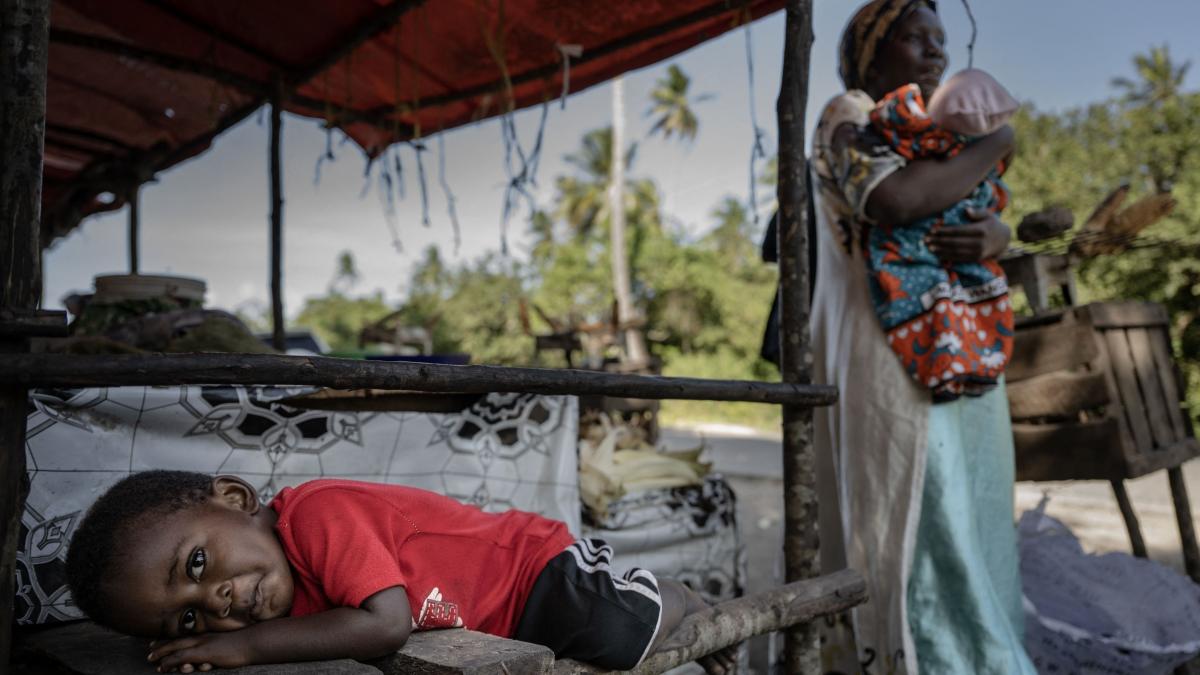 Incident grav în Zanzibar. Zeci de oameni au ajuns la spital după ce au consumat carne de broască țestoasă. 8 copii au murit
