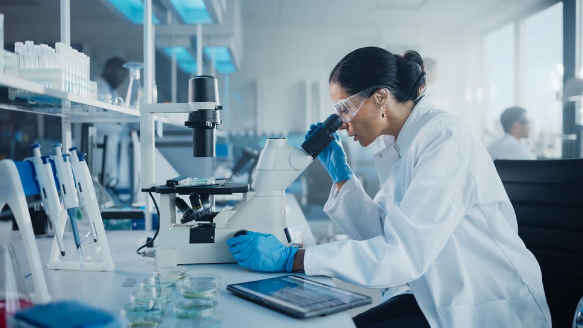 Cum alegi laboratorul potrivit pentru analizele anuale?