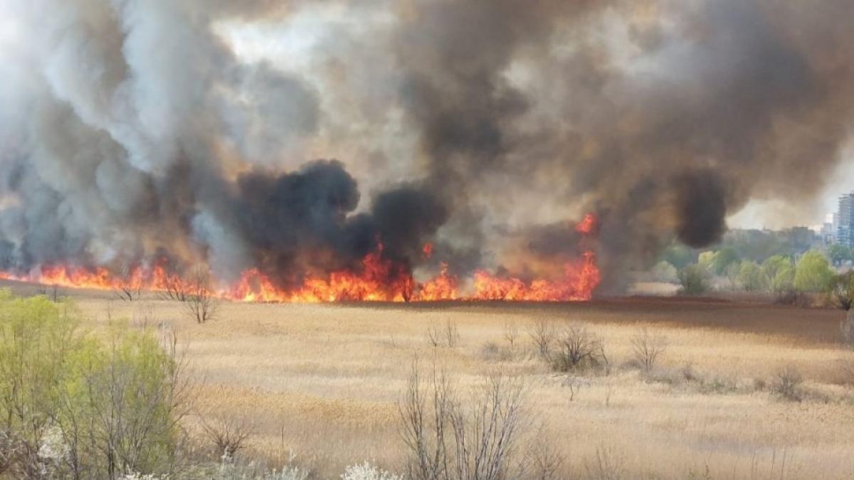 delta vacaresti incendiu