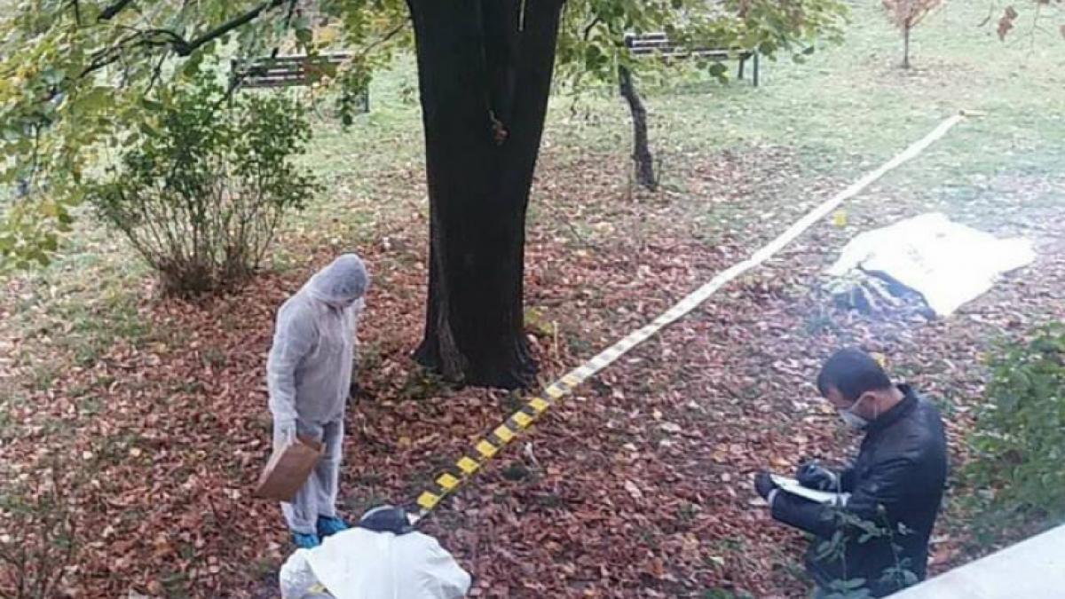 Accident de muncă într-o pădure din județul Bistrița-Năsăud. Un bărbat a murit