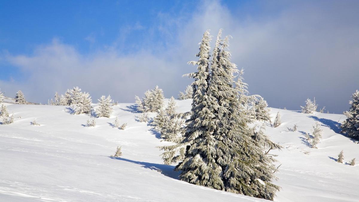 Cod galben de viscol în zona de munte din 4 județe. Ninge abundent în centrul țării