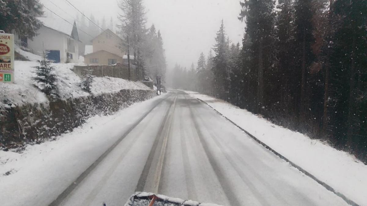 Ninge abundent în centrul țării