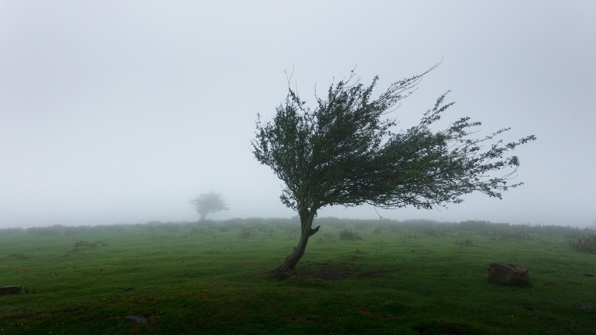 Alertă meteo imediată. Cod Galben în mai multe județe. Iată lista localităților afectate de vânt puternic