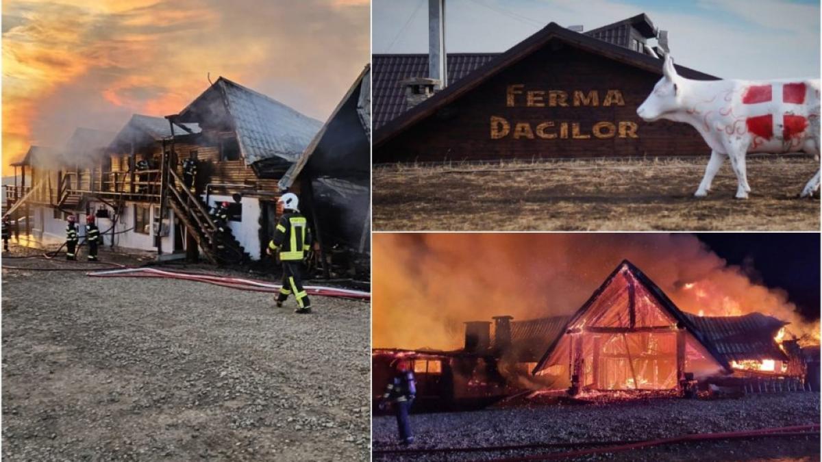 Cornel Dinicu, patronul de la Ferma Dacilor, a scăpat de arestul la domiciliu