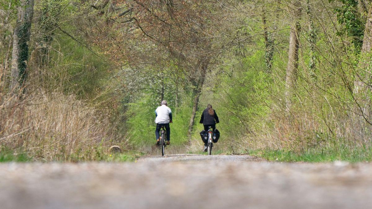 Adio, turism montan! Aberant, dar adevărat: interzis  să te mai  plimbi prin  pădure