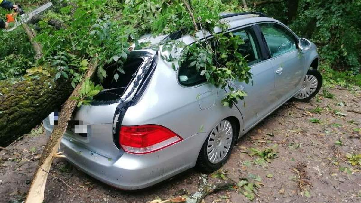 Autoturisme, avariate de copacii doborâți de vânt