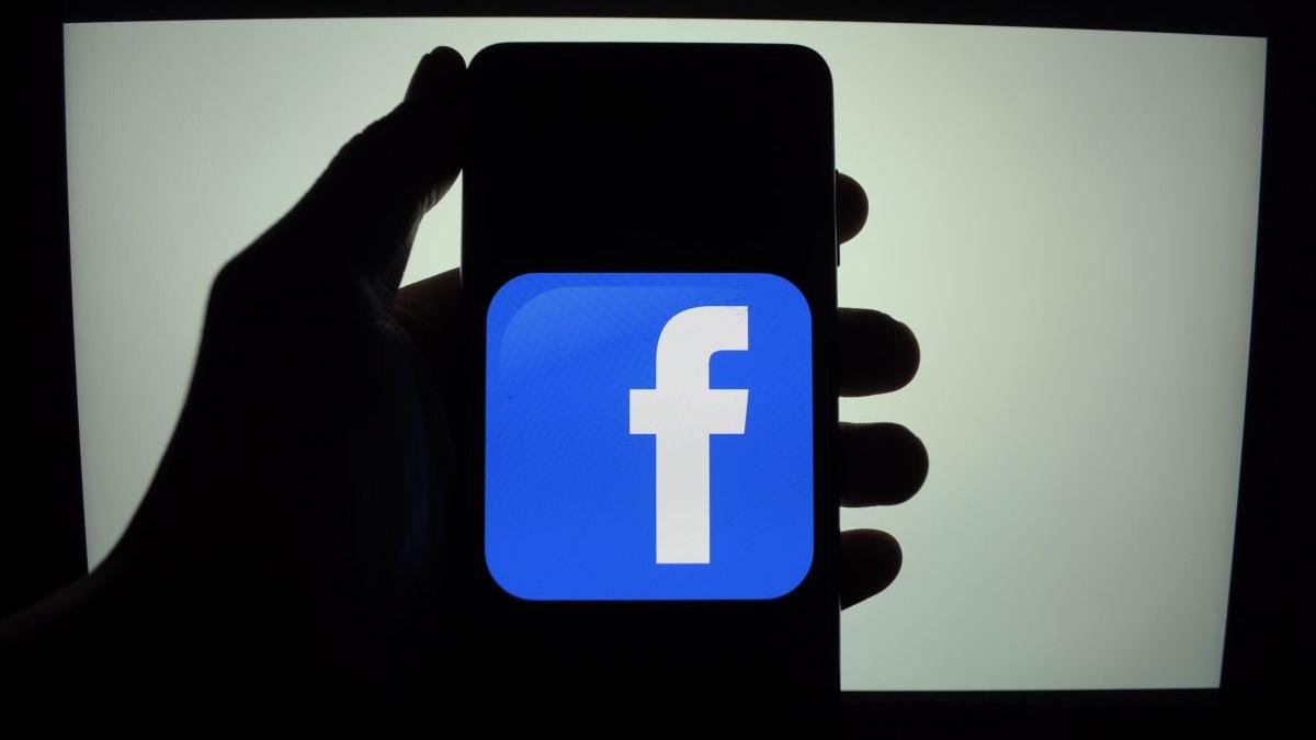 Guvernul Olandei iese de pe Facebook