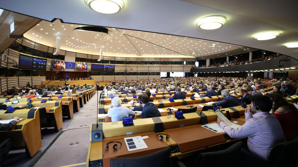 Ați auzit de Partidul „Puiul Malefic” sau Partidul „Câinelui cu două cozi”? Cele mai ciudate formațiuni înscrise la alegerile europarlamentare din 9 iunie