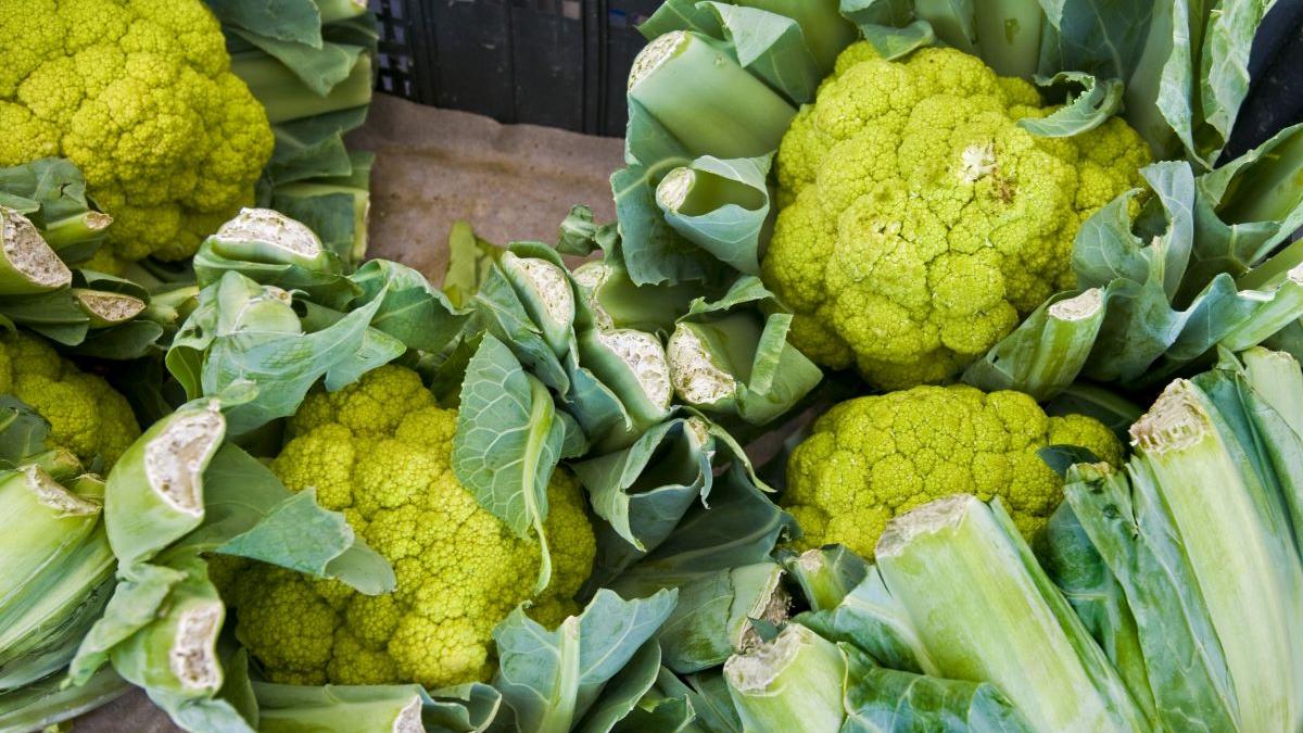 Dieta verde încetineşte evoluţia cancerului de prostată