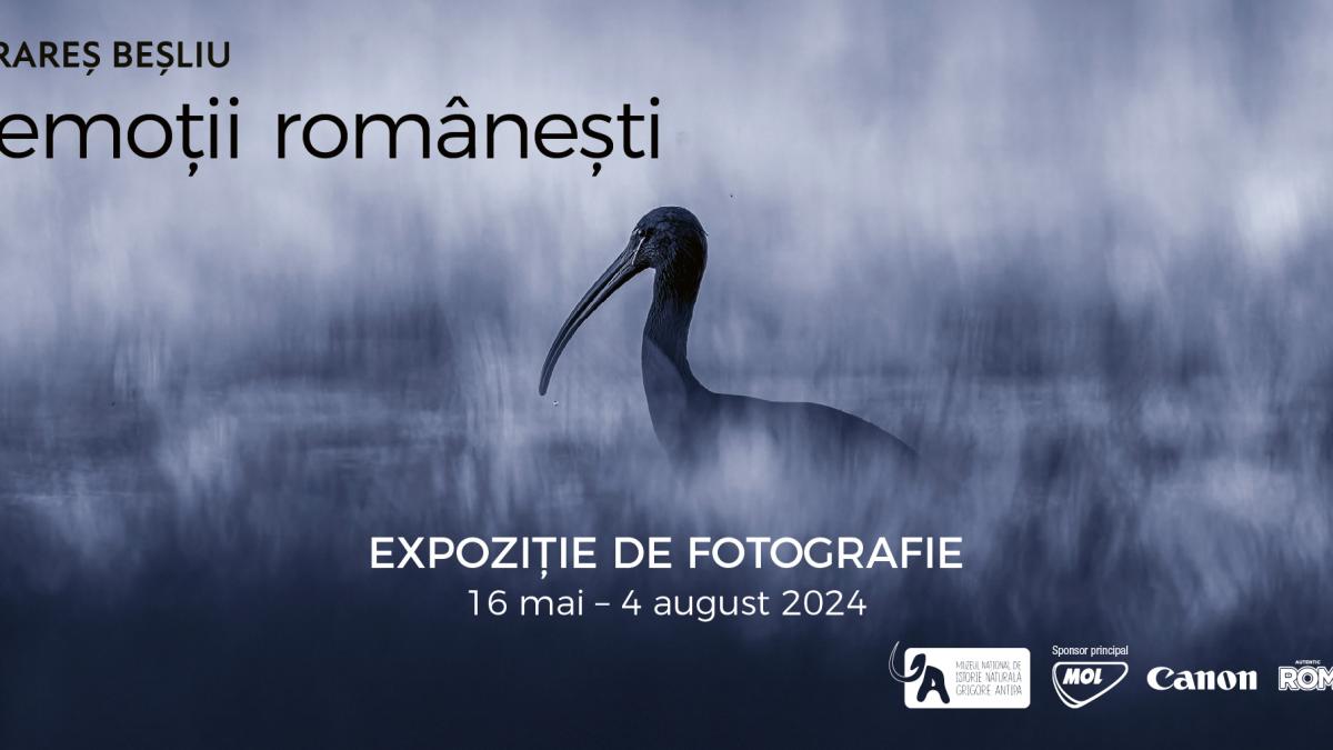 Expoziția temporară de fotografie „emoții românești”, prima expoziție temporară a Muzeului Antipa despre viața sălbatică din România