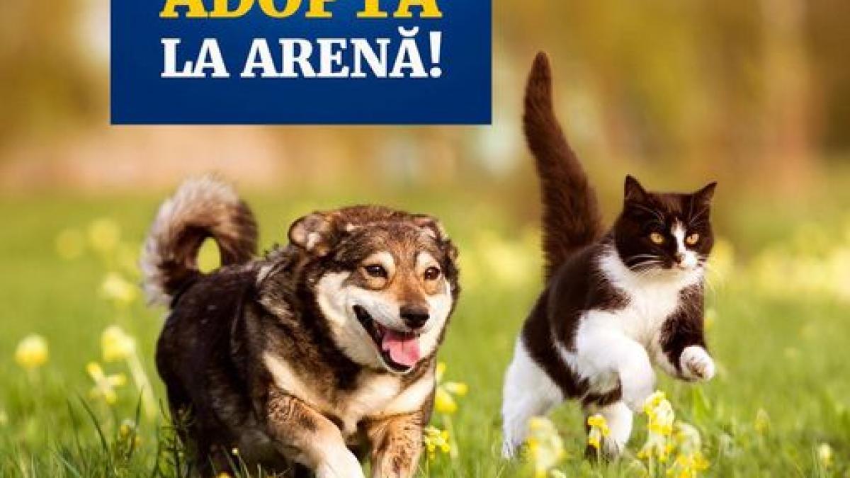 Cel mai mare târg de adopții de animale de companie din București, la Arena Națională