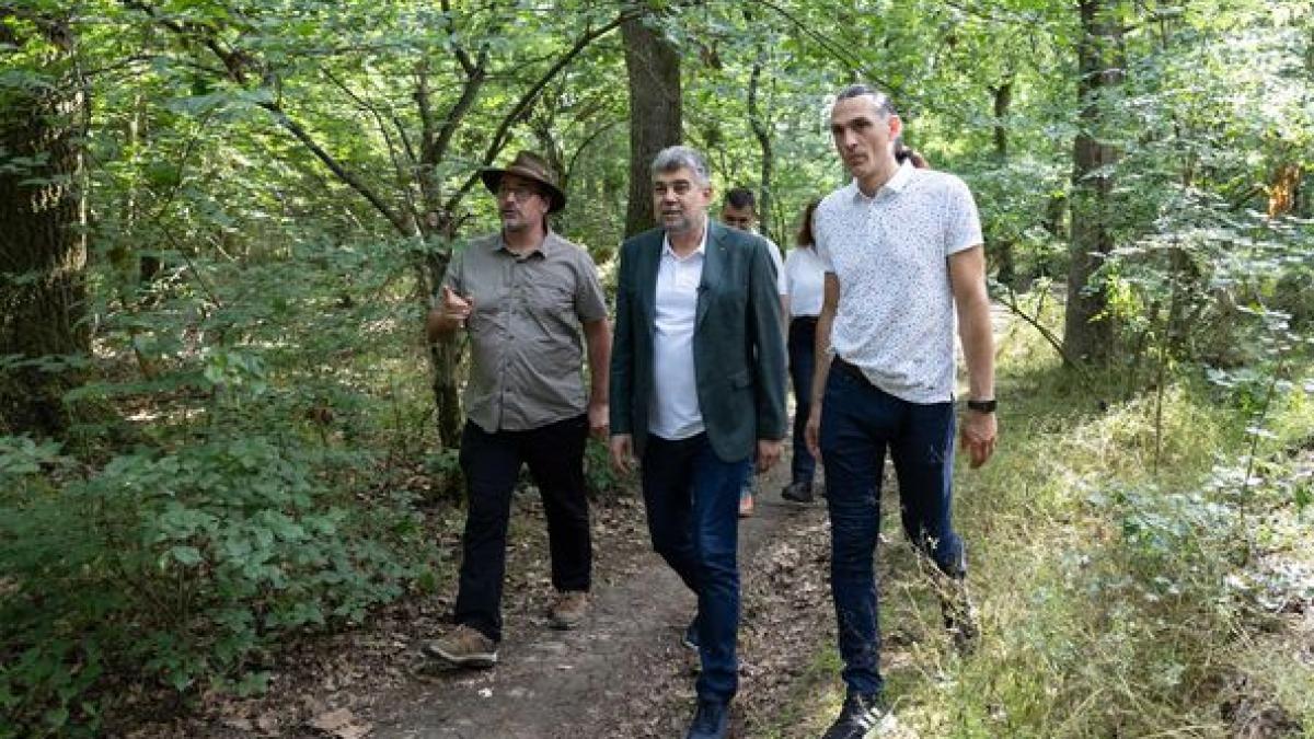 Ciolacu, în Pădurea Balotești. Poluarea nu-i de stânga sau de dreapta, poluarea ne priveşte pe toți