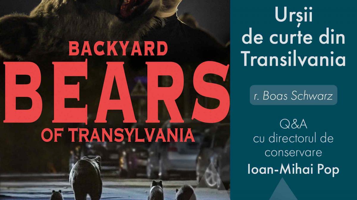 Pe 4 iunie începe la Brașov LYNX Festival. Ediția a 2-a a festivalului a epuizat deja biletele online pentru toate proiecțiile din program