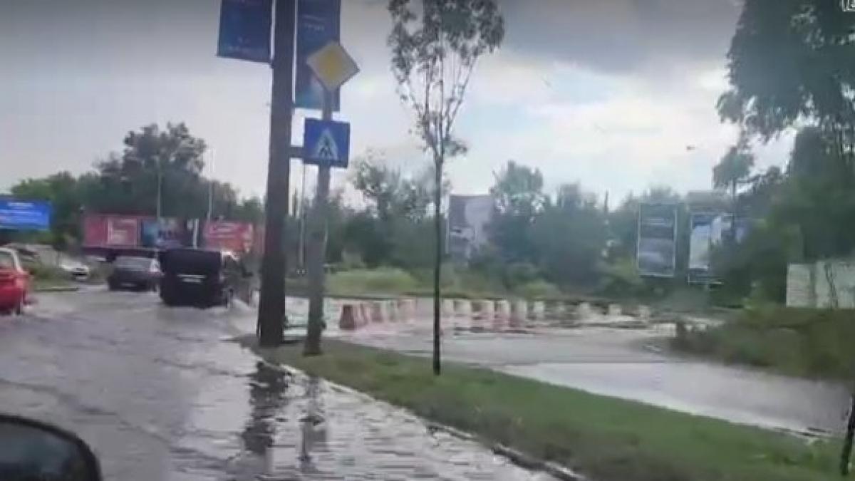 copaci cod portocaliu bucuresti isu
