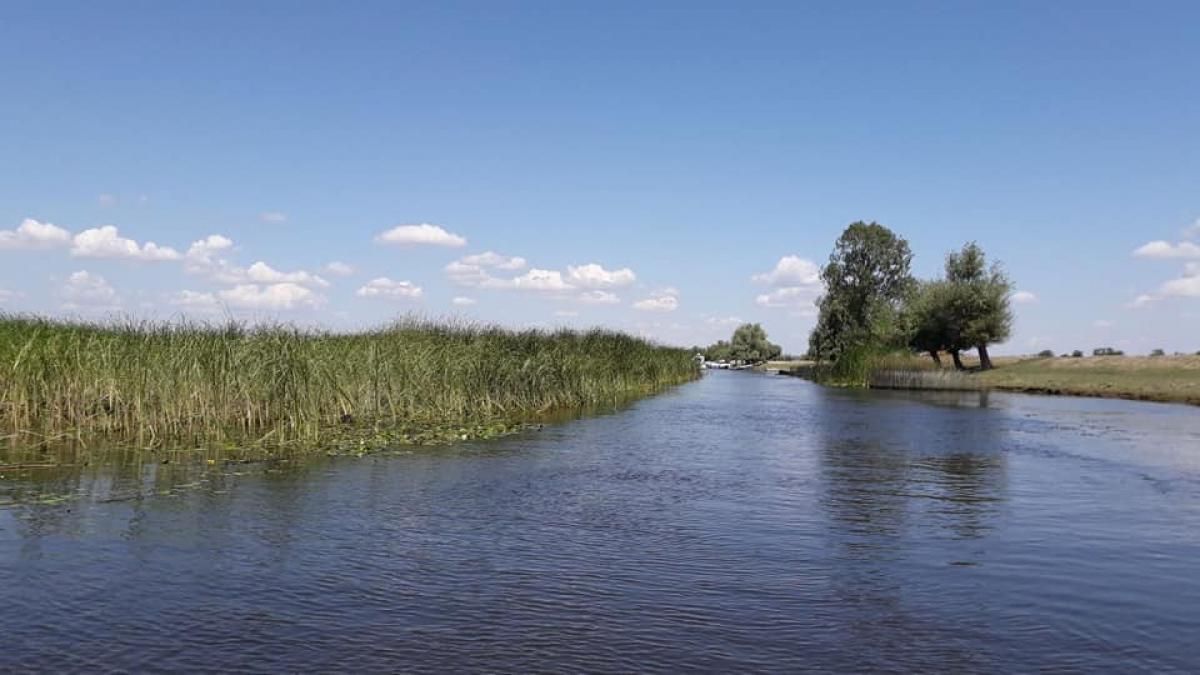 Locul care uimește o lume întreagă. De ce Delta Dunării este supranumită  „Amazonul Europei”