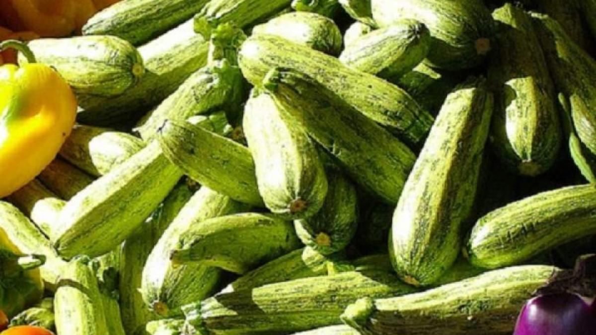 7 feluri de dovlecei. Preparate rapide și gustoase