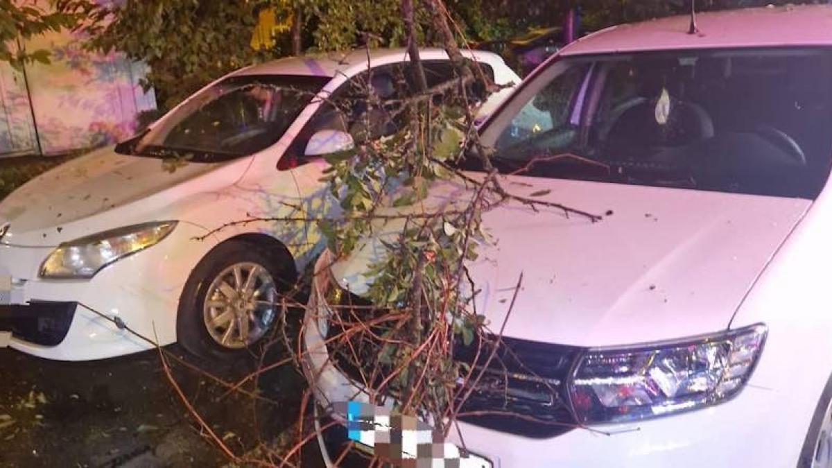 Mai mulți copaci au căzut în Capitală din cauza furtunii