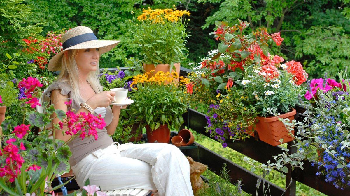 5 plante de apartament care te vor ajuta să ai un somn odihnitor