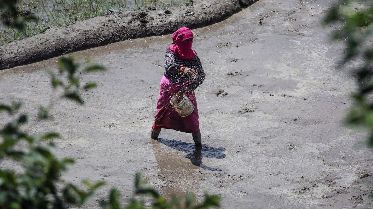 11 morți și 8 dispăruți după ploile care au provocat alunecări de teren în Nepal