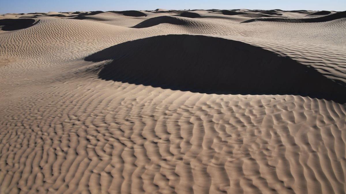 Descoperire macabră în Africa. Groapă comună la granița între Libia și Tunisia