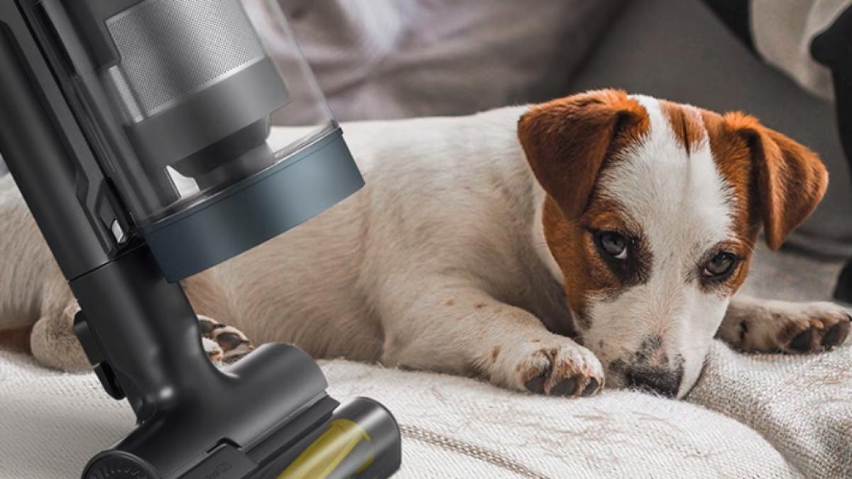 (P) Descoperă aspiratoarele Samsung: ajutorul de nădejde în casele cu animale de companie