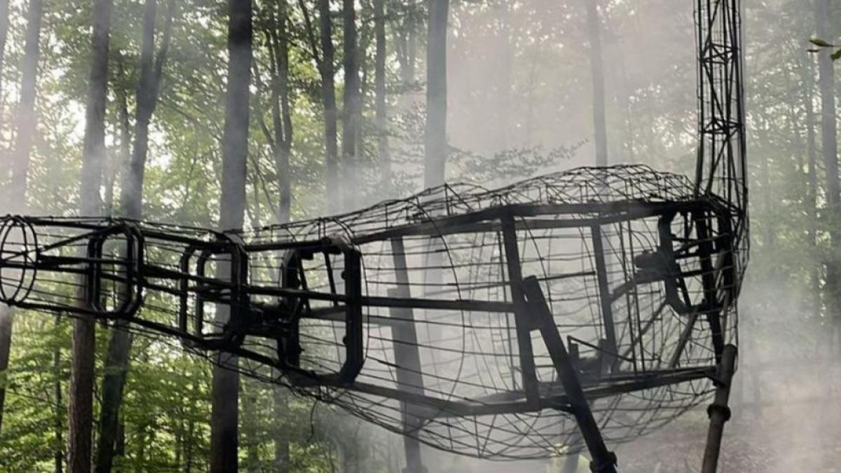incendiu dino parc