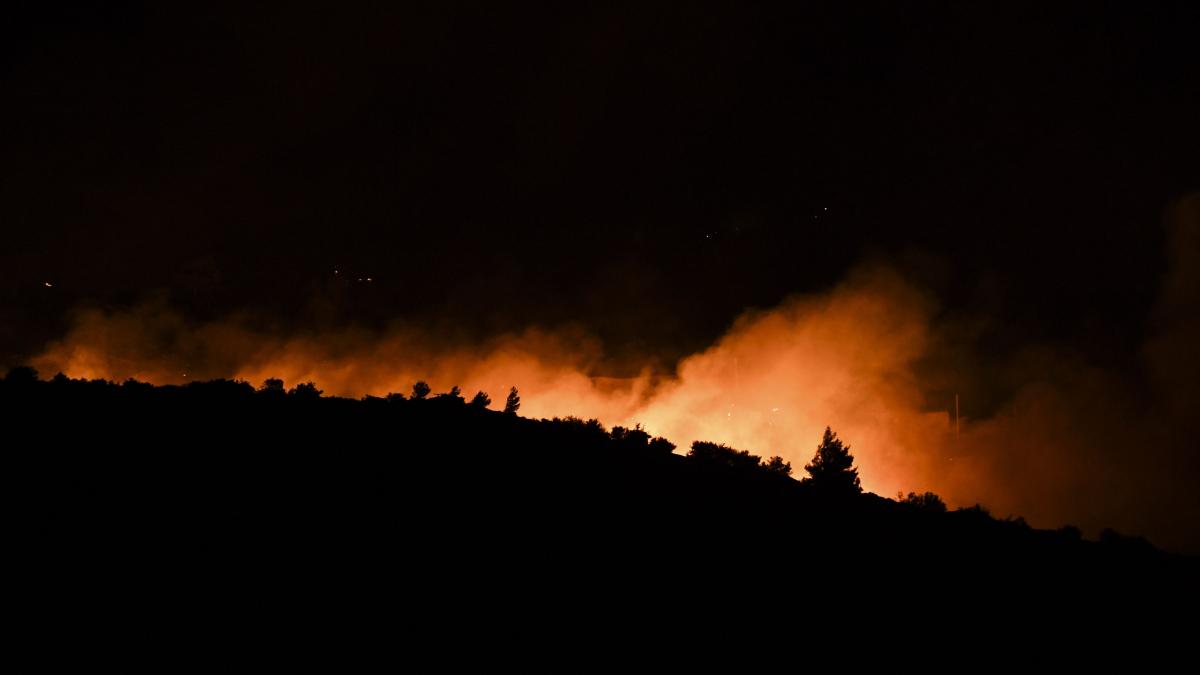 Incendiu de vegetație în Grecia. Pompierii români acționează în apropierea localității Varnava