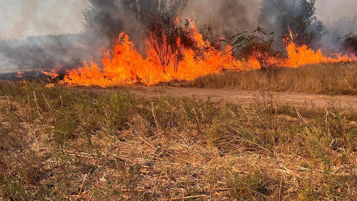 incendiu padure baile olanesti hectare vegetatie