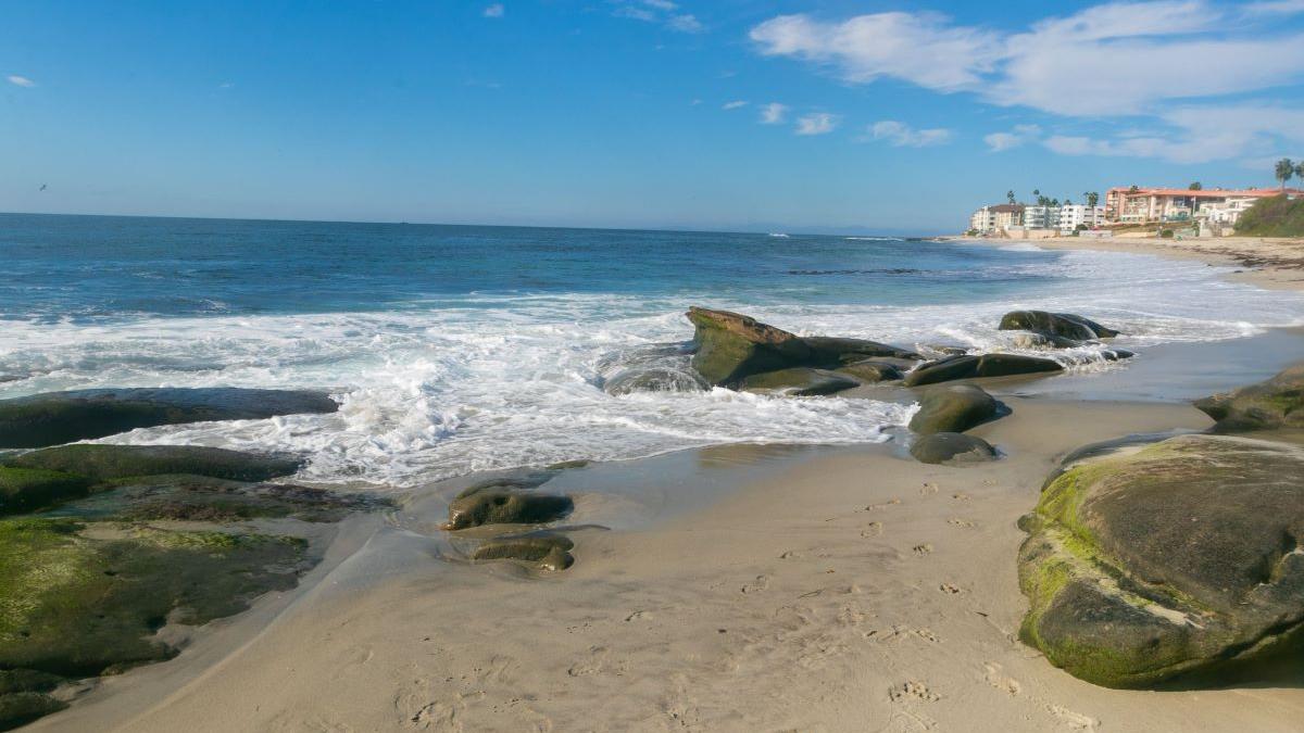 Legenda „Peștelui apocalipsei”. A fost descoperit pe o plajă din California