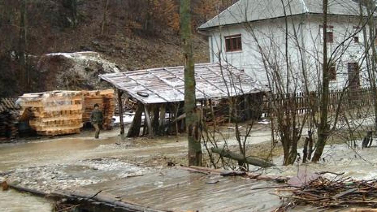 Risc de viituri pe râuri din patru județe