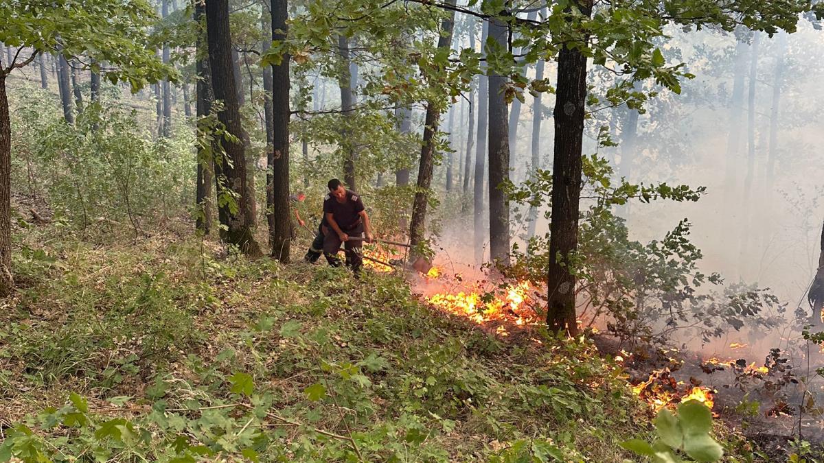 Incendiu uriaș într-o pădure din Mehedinți. Un elicopter Black Hawk va ajunge în zonă