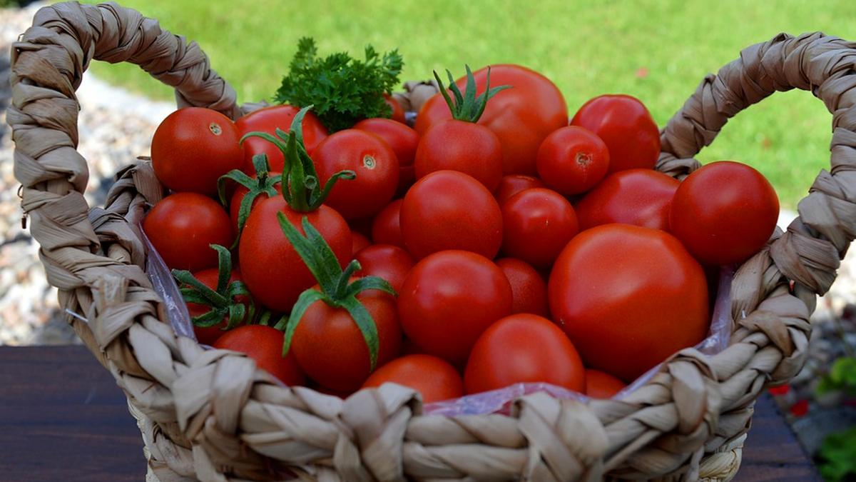 sunt sau nu sunt otrăvitoare aceste fructe?