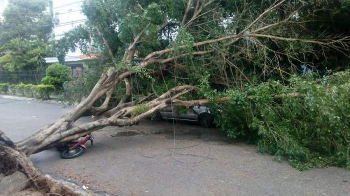 Alertă meteo imediată. Cod galben de vânt puternic pe litoral