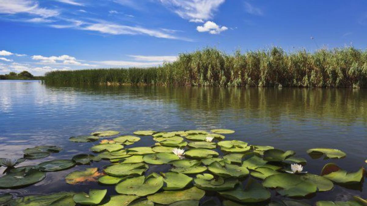 Fechet: Delta Dunării va avea 40 de trasee pentru turism lent