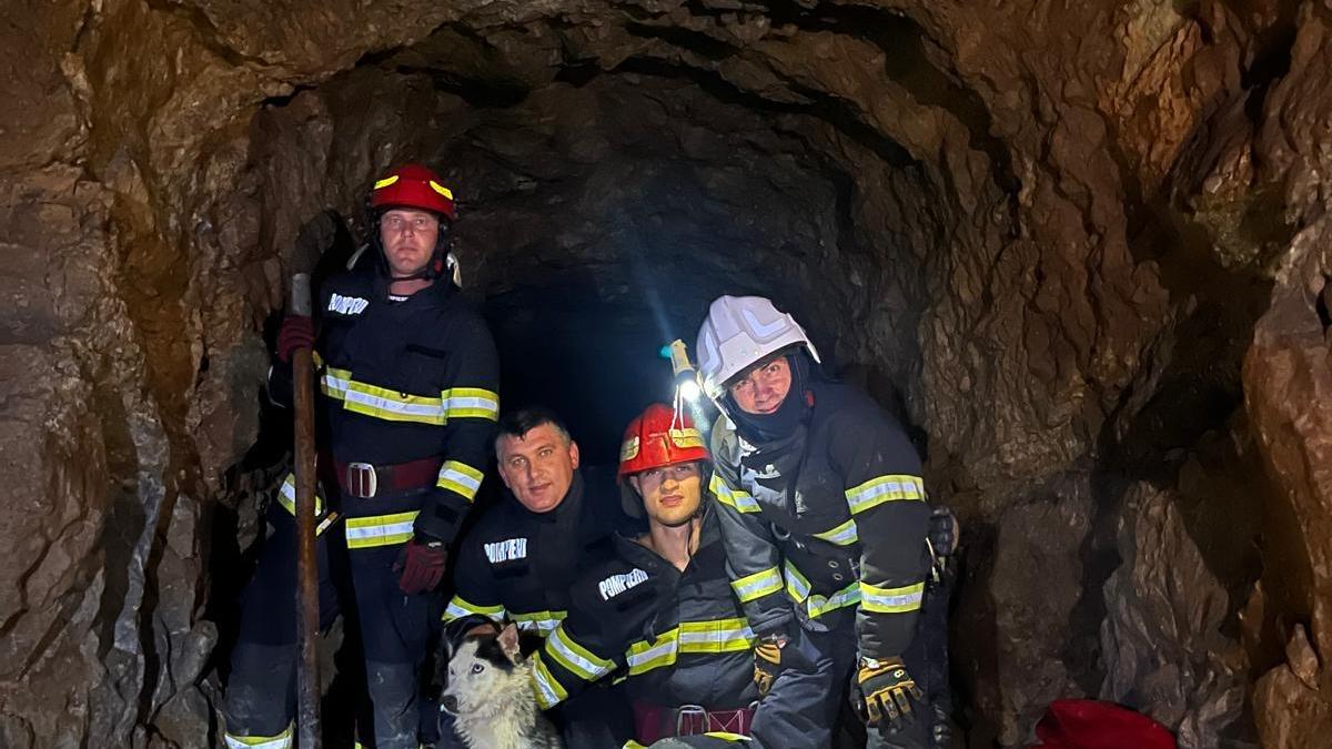 Pompierii au salvat un câine, după ce a căzut într-o groapă adâncă de aproximativ 10 metri, într-o mină dezafectată