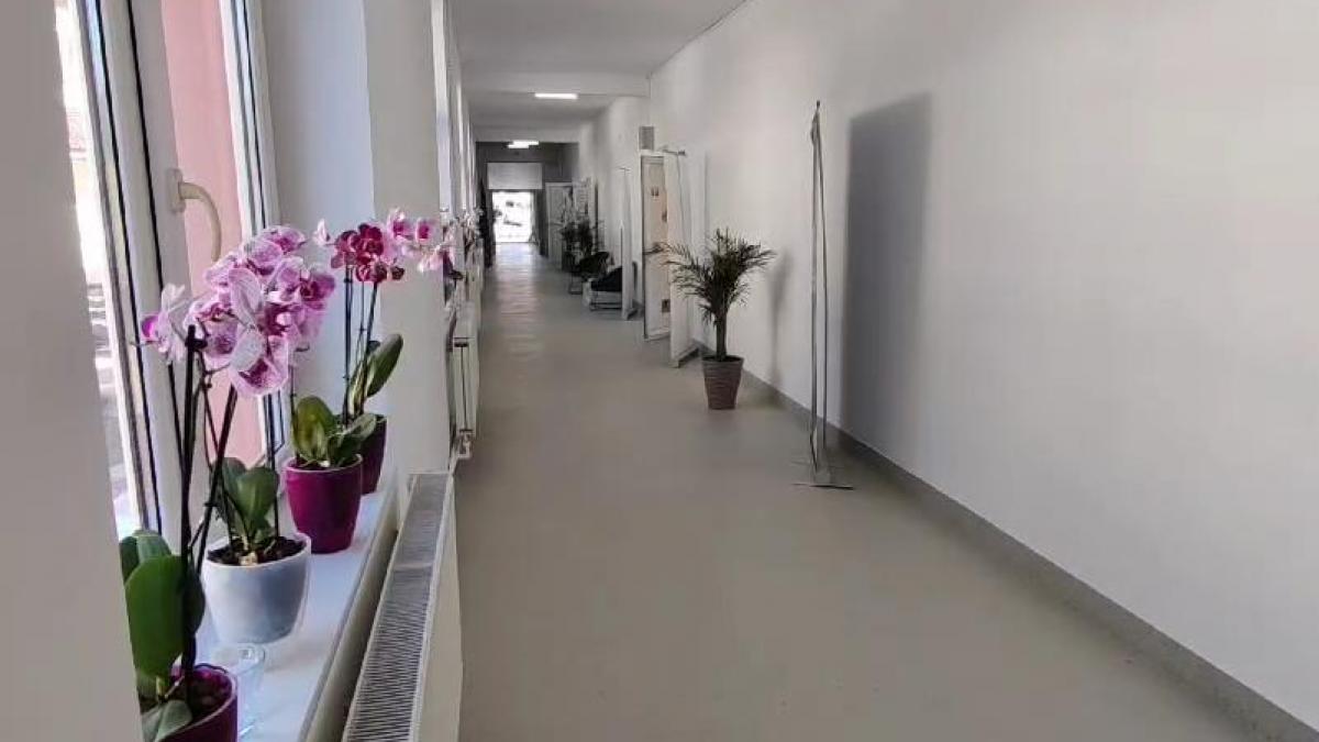 ministrul educatiei ligia deca vizita scoala slobozia conachi inundatii