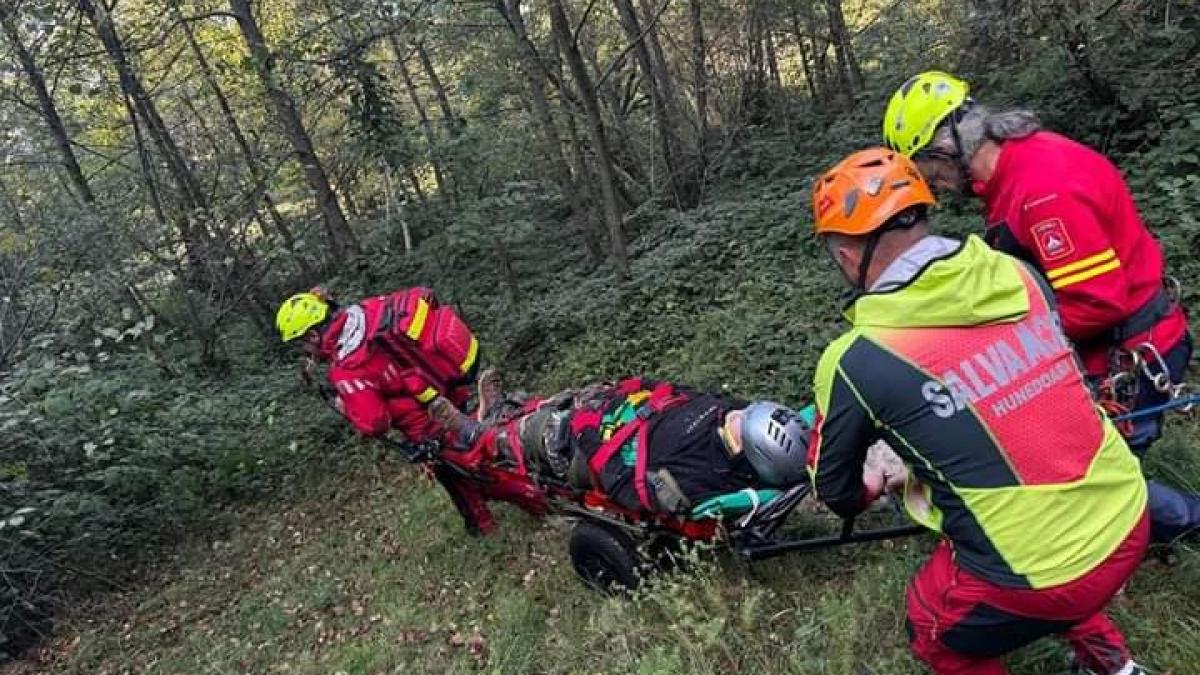 Un parapantist a căzut și a rămas agățat într-un copac
