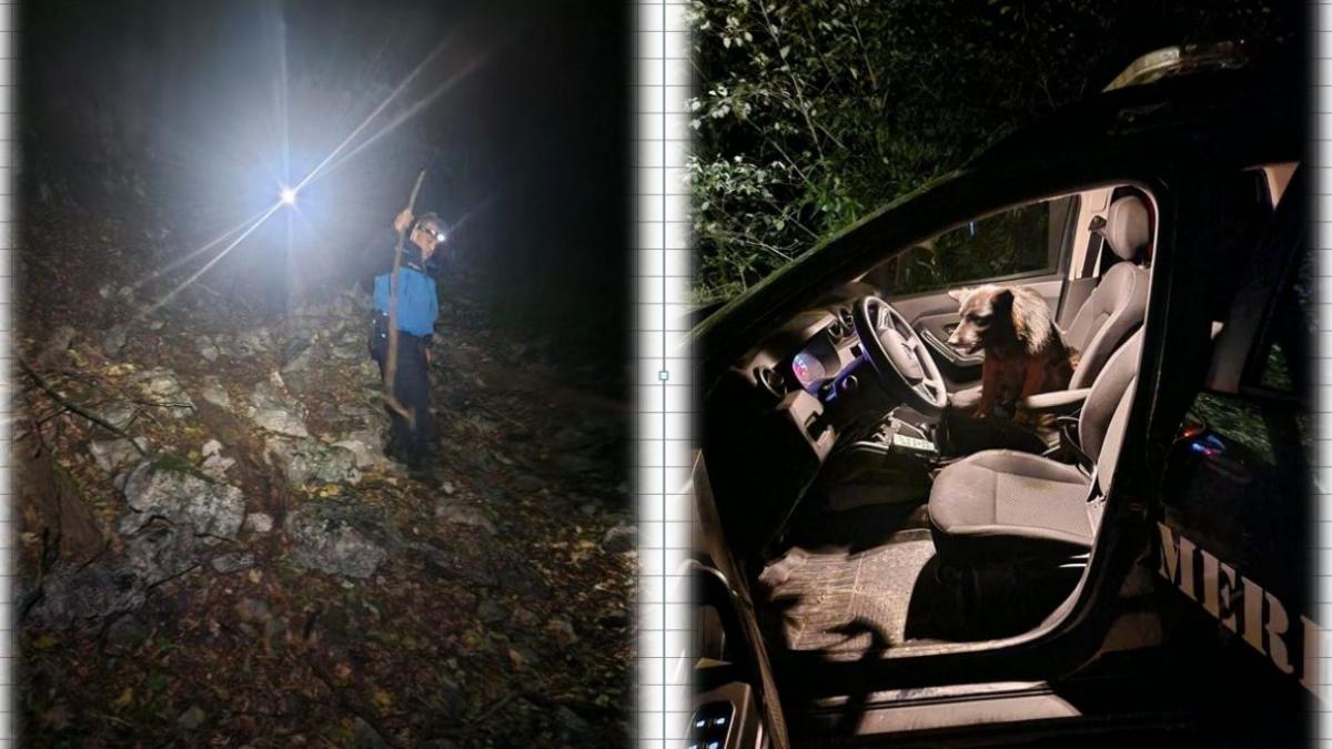 Misiune de salvare cu final neașteptat: Jandarmii salvează un turist rătăcit și o cățelușă