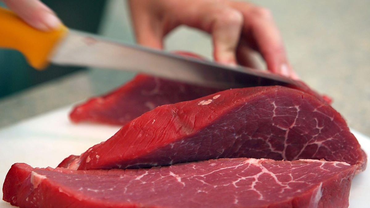 carne hibrid alimentatie laborator cercetare timisoara