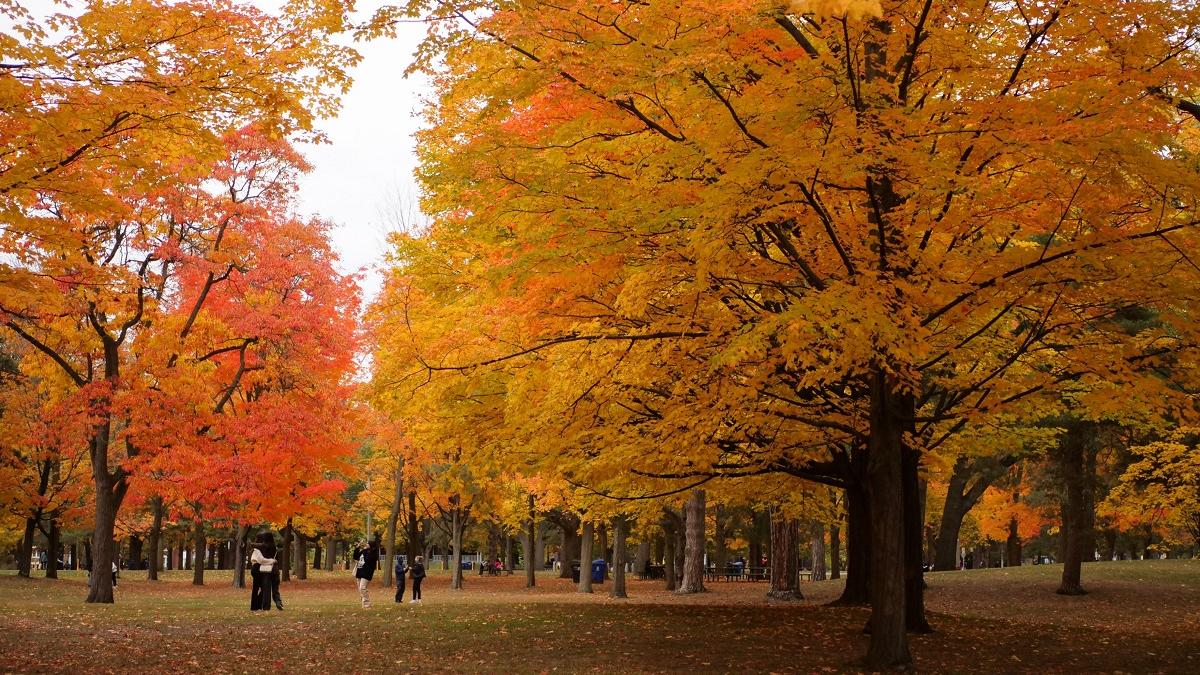 Temperatures were below normal in early November, then stabilized until early winter