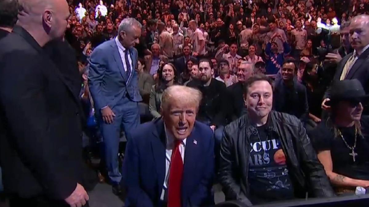donald trump gala mma ufc 309 elon musk