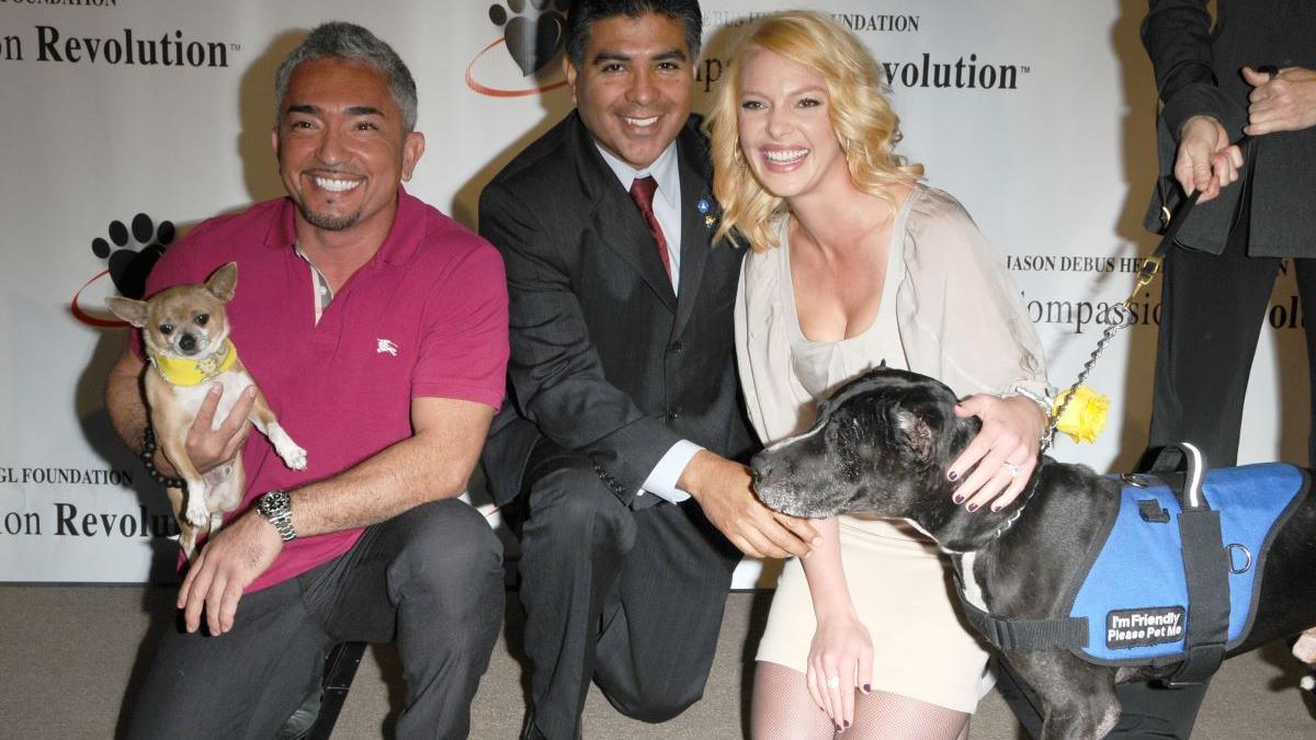 Metoda celebrului Cesar Millan pentru a avea un câine fericit și cele mai mari greșeli pe care trebuie să le eviți