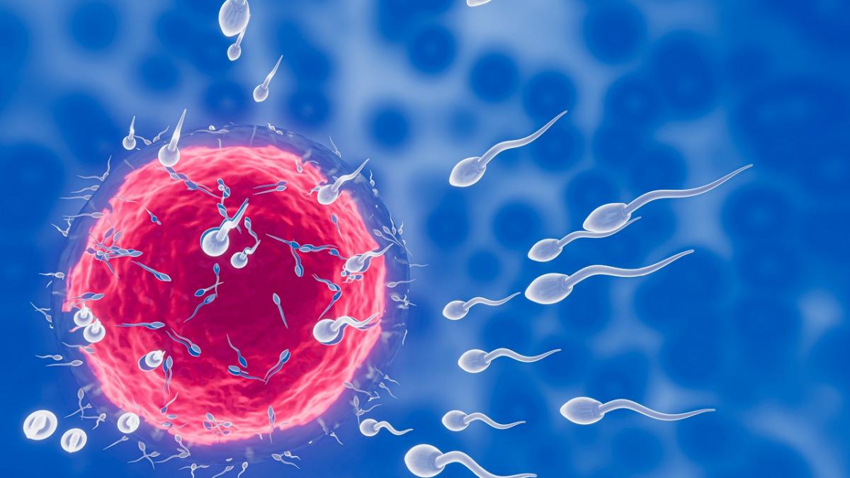Inseminarea artificială - O soluție pentru fertilitatea afectată de obiceiuri nesănătoase