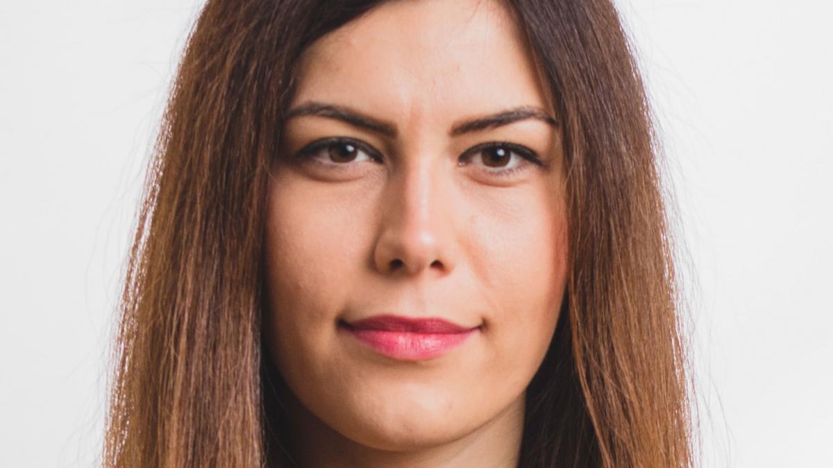 Prună (USR): Pare că instituţiile publice au dormit în această campanie electorală