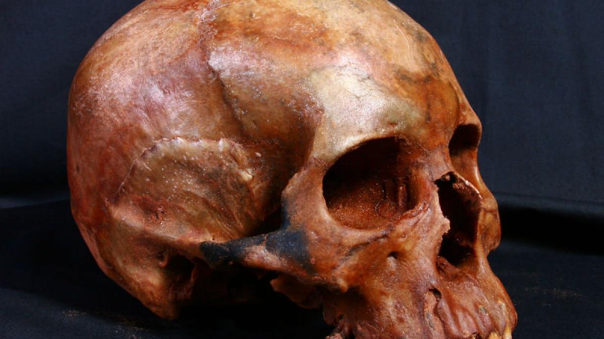 Descoperire șocantă: 15 cranii umane vechi de 7.000 de ani intrigă comunitatea științifică