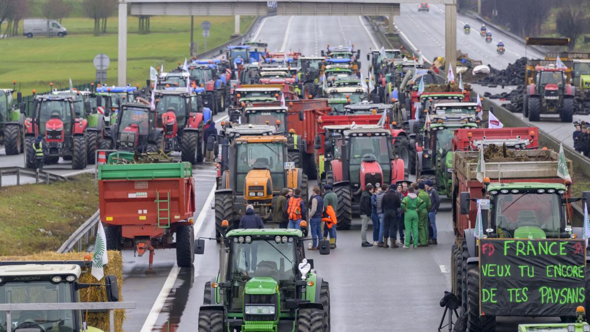 Fermierii din UE plănuiesc proteste masive