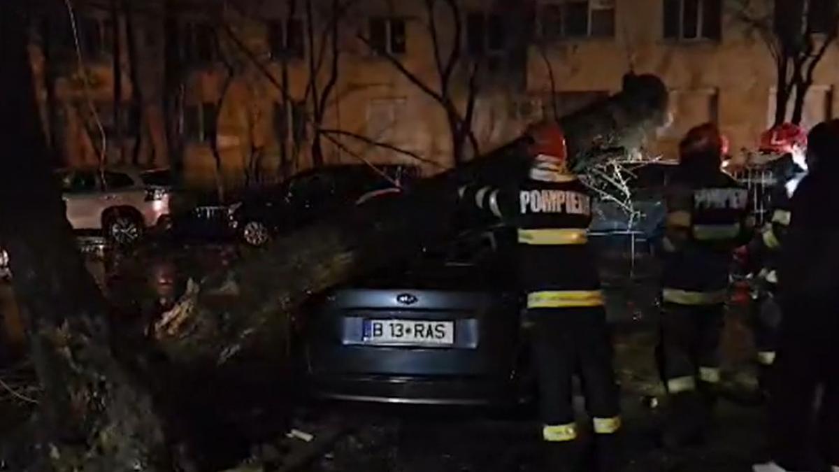 vantul a facut ravagii in capitala zeci de masini distruse de copacii cazuti