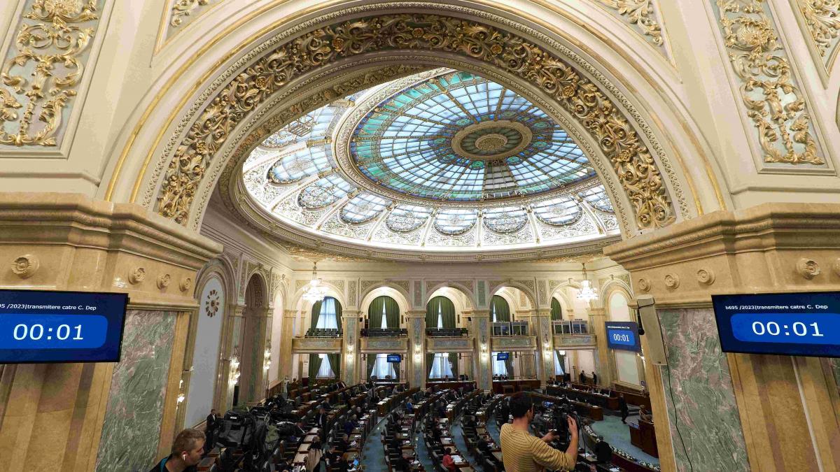 Declarațiile de avere ale senatorilor, pline de donații, moșteniri, comori de sute de mii de euro și datorii impresionante la bugetul de stat
