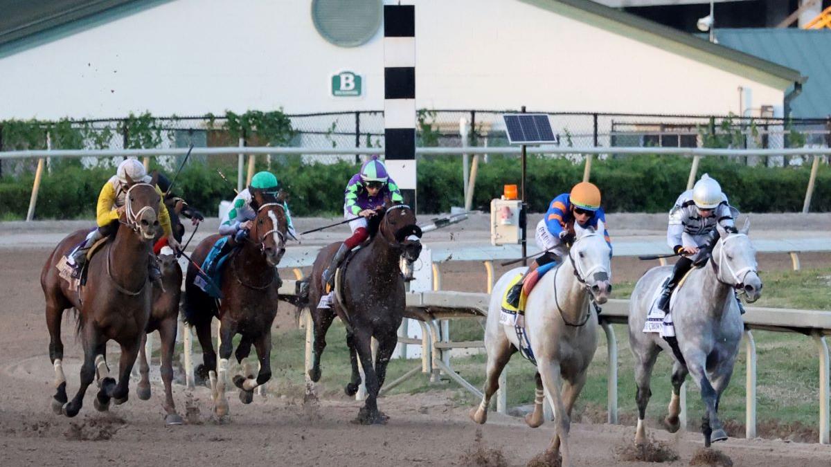 Rétracteur Abdominal O'Sullivan-O'Connor Grand Modèle - 3 Lames Interchangeables, Chirurgie Générale